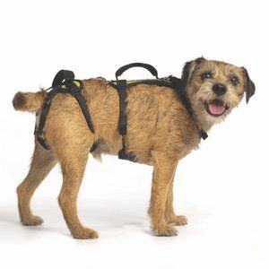 Help 'Em Up Harness: Small Dog (25-45 lbs.)